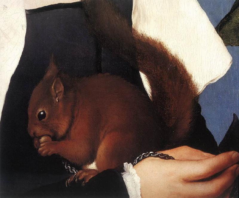 HOLBEIN, Hans the Younger Portrait of a Lady with a Squirrel and a Starling (detail) sf oil painting image
